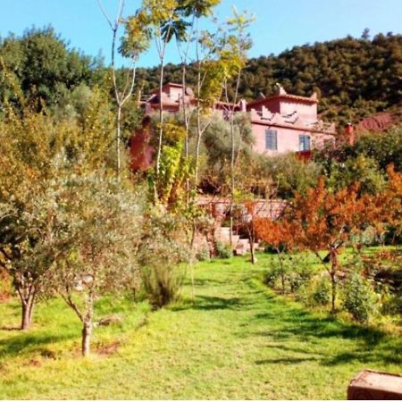 Ourika Timalizene Le Jardin Des Delices Hotel Tamezindert Luaran gambar