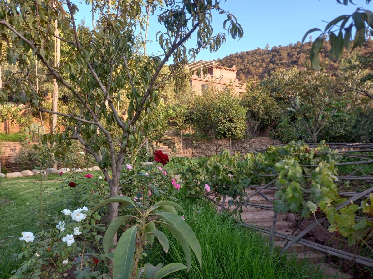 Ourika Timalizene Le Jardin Des Delices Hotel Tamezindert Luaran gambar
