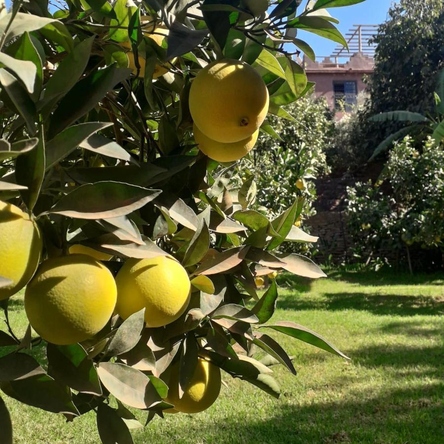 Ourika Timalizene Le Jardin Des Delices Hotel Tamezindert Luaran gambar